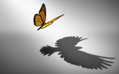 Tử vi thứ Ba (28/11/2023): Ma Kết cần tìm cách thay đổi bản thân