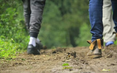 Đi bộ nhanh hơn có thể giảm nguy cơ mắc bệnh đái tháo đường type 2