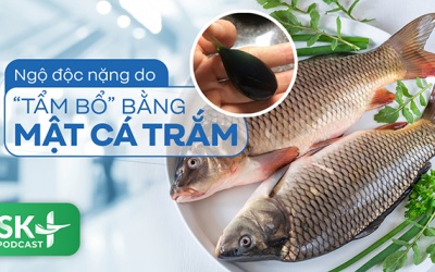 Podcast: Ngộ độc nặng do “tẩm bổ” bằng mật cá trắm