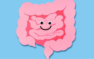 Bạn có biết hệ thần kinh ruột giống như bộ não thứ hai của con người?