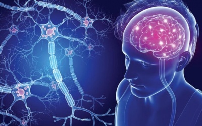 Bạn có biết sức khỏe đường ruột ảnh hưởng lớn đến tinh thần?