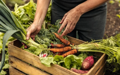 Môi trường bền vững - yếu tố sống còn đối với ngành F&B?