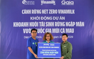 Vinamilk triển khai dự án tái sinh 25ha rừng ngập mặn tại Cà Mau
