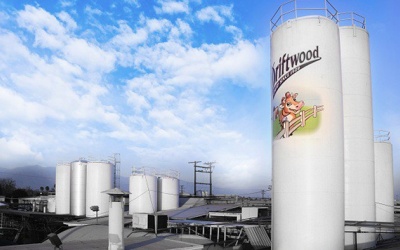 Vinamilk đẩy mạnh đầu tư và khai thác thị trường nước ngoài