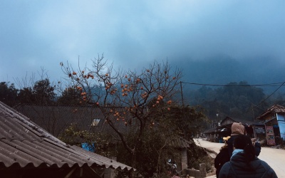 Rét đậm có thể kéo dài đến 25/12