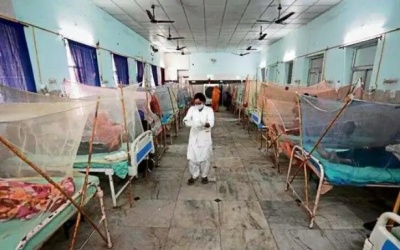 WHO cảnh báo mối đe dọa toàn cầu của bệnh sốt xuất huyết