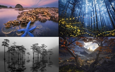 Chiêm ngưỡng những bức ảnh phong cảnh đẹp nhất năm 2023