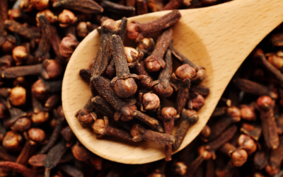 6 lợi ích sức khỏe của đinh hương