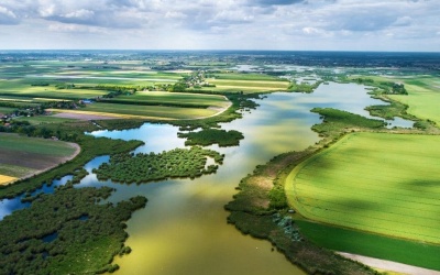 Mất đa dạng sinh học ảnh hưởng tới y học và sức khỏe con người như thế nào?