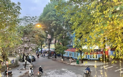 Bắc Bộ, Bắc Trung Bộ trời rét kèm mưa phùn và sương mù