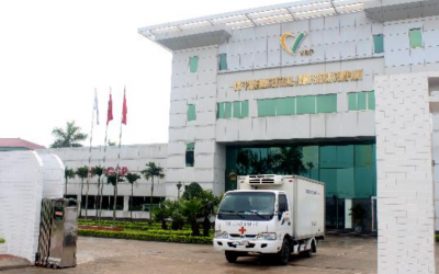 Hai công ty cổ phần dược phẩm VCP và Ampharco U.S.A bị phạt do vi phạm đăng ký, sản xuất thuốc