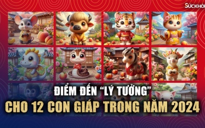 12 con giáp nên đi du lịch ở đâu trong năm Giáp Thìn