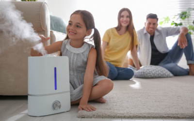 Khi nào bạn nên sử dụng máy tạo độ ẩm?