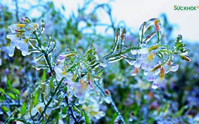 Bộ Y tế yêu cầu bảo đảm phòng chống rét cho người bệnh khi thời tiết lạnh