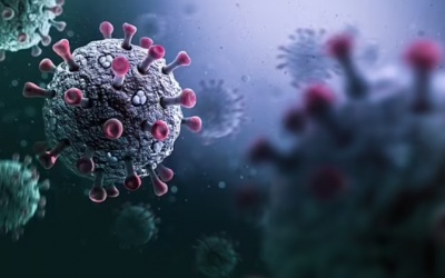 WHO cảnh báo đại dịch mới nguy hiểm gấp 20 lần COVID-19