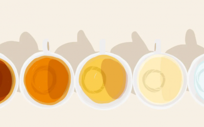 Nước tiểu màu bất thường có thể do 6 loại thực phẩm này