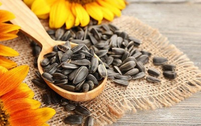 Bị khàn tiếng do ăn nhiều hướng dương phải làm sao?