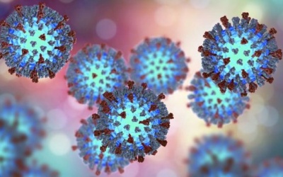 Mỹ và Châu Âu cảnh báo sự gia tăng bất thường về bệnh sởi 