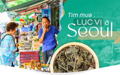 Tìm mua Lục vị ở Seoul