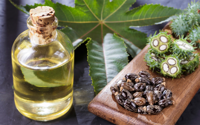 Tự làm mặt nạ dưỡng tóc với dầu thầu dầu