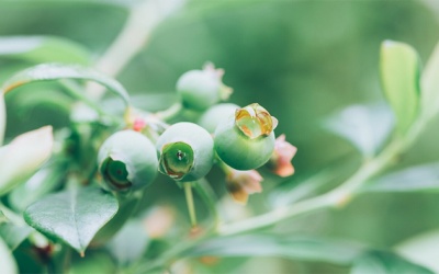 Tử vi thứ Sáu (16/2/2024): Thiên Bình không nên bỏ qua các chi tiết nhỏ