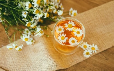 10 lý do bạn nên uống trà cúc La Mã mỗi ngày