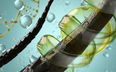 5 thực phẩm giàu kẽm tốt cho sự phát triển của tóc