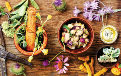 5 loại thảo mộc giúp tăng cường sức khoẻ hô hấp