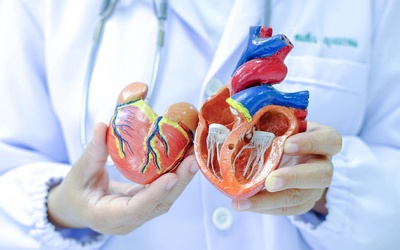 Hết đau ngực, khó thở do hở van tim, suy tim nhờ sản phẩm thảo dược