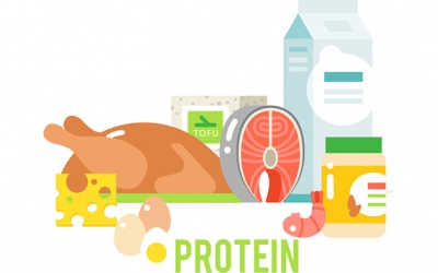 Nguy cơ tim mạch khi ăn quá nhiều protein