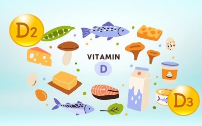 Vitamin D2 và D3 có gì khác nhau, bổ sung thế nào?