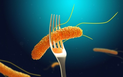 Vụ ngộ độc cơm gà ở Nha Trang: Phát hiện thêm 2 loại vi khuẩn