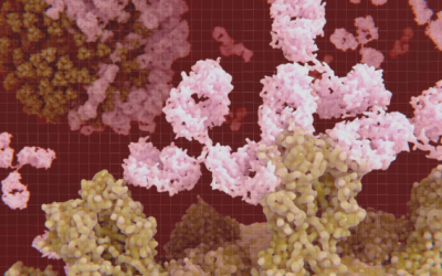 5 bệnh tự miễn thường gặp mà bạn cần biết