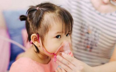 70 ca ho gà trên cả nước, Bộ Y tế chỉ đạo khẩn