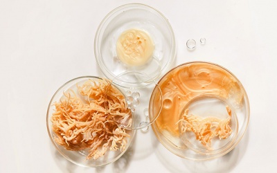 Trào lưu sử dụng rong sụn biển để chăm sóc sức khỏe