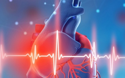 Mới phát hiện bị suy tim, nhịp tim chậm nên bổ sung gì?