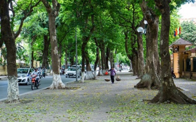 Bắc Bộ giảm nhiệt, chiều tối mưa dông vài nơi