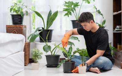 Tử vi thứ Bảy (13/4/2024): Cự Giải sẽ khám phá thêm một thú vui mới