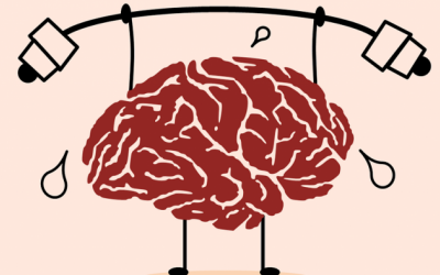 5 'cách' chăm sóc não bộ giúp trí nhớ luôn nhạy bén 