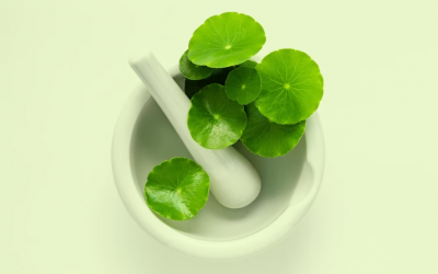 Bật mí khả năng phục hồi và chăm sóc da của rau má