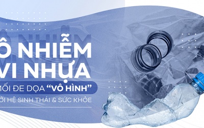 Ô nhiễm vi nhựa: Mối đe dọa “vô hình” với hệ sinh thái và sức khỏe