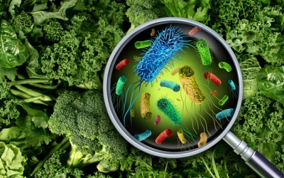 Thiết bị nhỏ bằng bàn tay giúp phát hiện E.coli gây ngộ độc thực phẩm