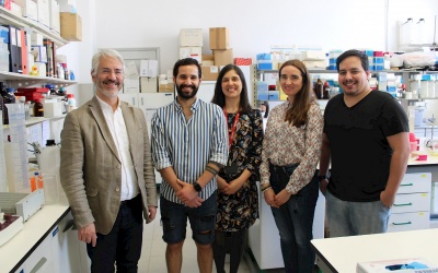 Liệu pháp tế bào gốc mới điều trị bệnh thoái hóa thần kinh