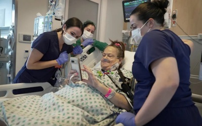 Bệnh nhân thứ hai được cấy ghép thành công thận lợn biến đổi gene