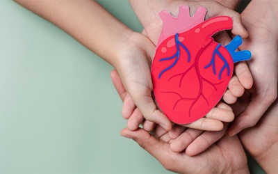 Bệnh tim to có nguy hiểm không và cần điều trị thế nào?