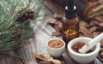 Infographic: 8 lợi ích cho da và thính lực của chiết xuất thông đỏ