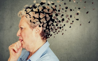 8 nguyên nhân có thể khiến trí nhớ của bạn kém minh mẫn