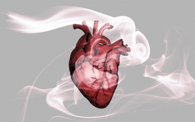 Hút thuốc lá có làm tăng nguy cơ bị suy tim sung huyết?