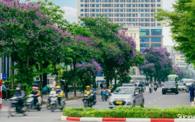 Bắc Bộ ngày nắng, mưa dông chiều tối và sáng sớm