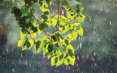 Dự báo thời tiết đêm 14 và ngày 15/5: Nhiều nơi mưa rào và dông